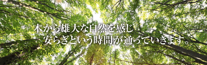 木から雄大な自然を感じ安らぎという時間がかよってきます。